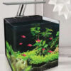 OF Nano Planted Tank Available @ SGAquascapes.com Online Aquarium Supplies Platform