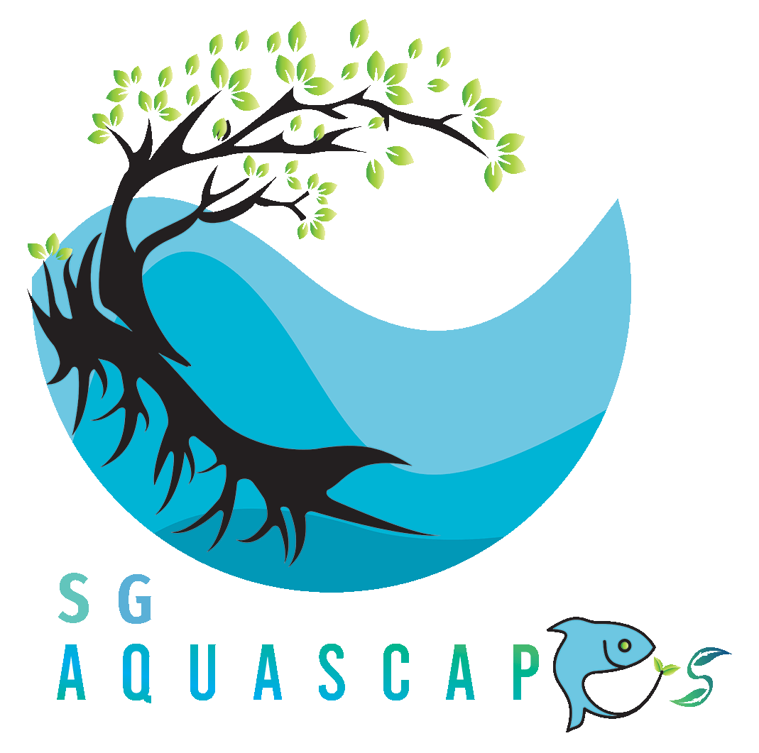 SG Aquascapes